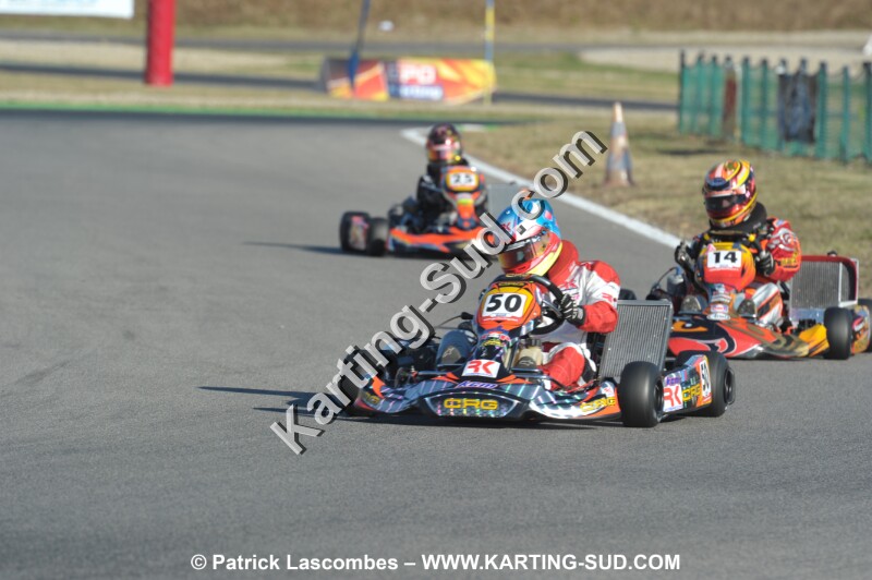 DSC_ (1462).JPG